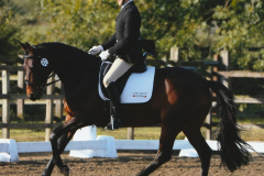 Jazzy Dressage